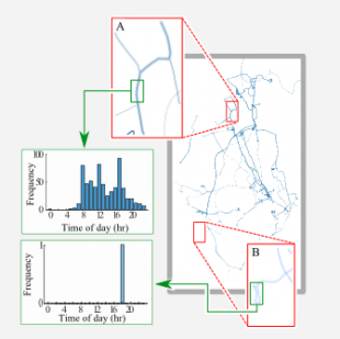 Figure 3 : Example trajectories in the HW-POL1 dataset. Region A highlights a trajectory labelled as normal and having a wide temporal distribution. Region B highlights a trajectory only observed once and labelled as anomalous. Figure Figure 3 : Example trajectories in the HW-POL1 dataset. Region A highlights a trajectory labelled as normal and having a wide temporal distribution. Region B highlights a trajectory only observed once and labelled as anomalous.